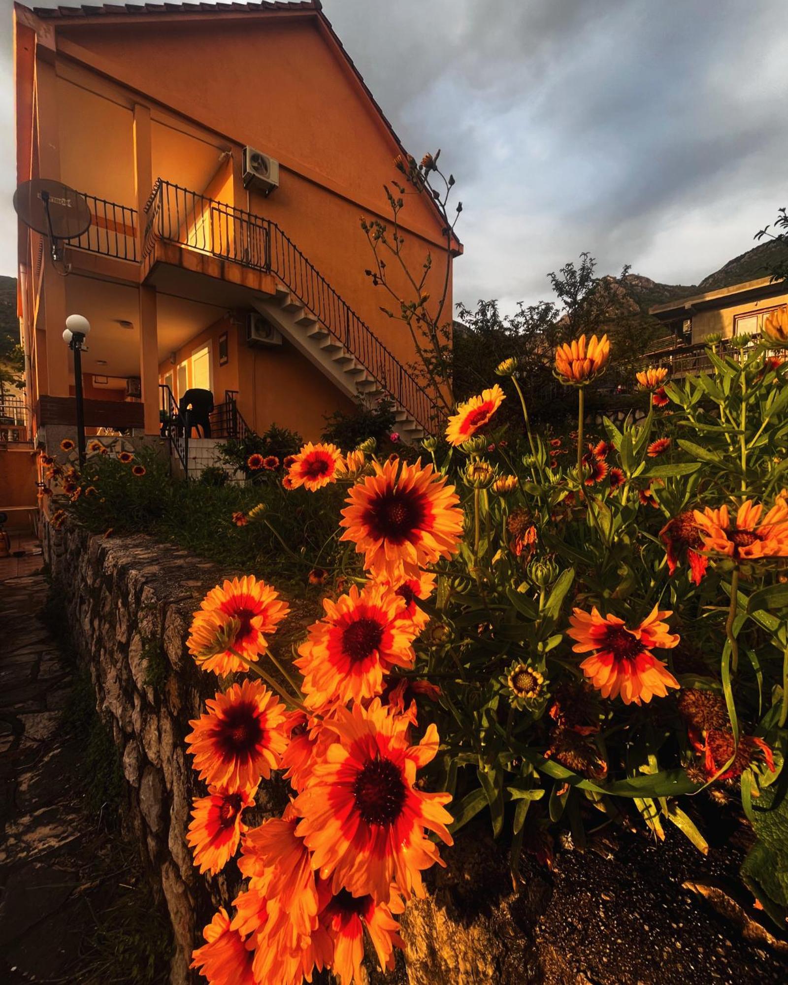 Apartments In Villa Viktoria Сутоморе Екстериор снимка